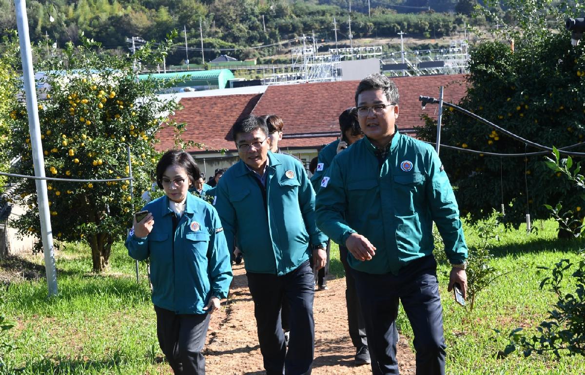 유자축제 사전 현장 점검 첨부이미지 : 2024.11.5 유자축제 사전 현장 점검 (3).jpg