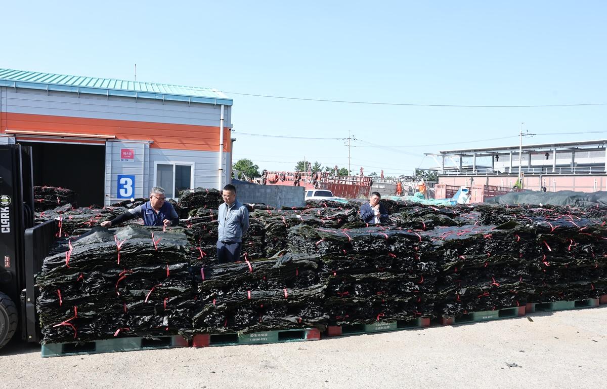 2025년산 마른 다시마 위판장 개장식 첨부이미지 : 2025.6.4 2025년산 마른 다시마 위판장 개장식 (2).JPG