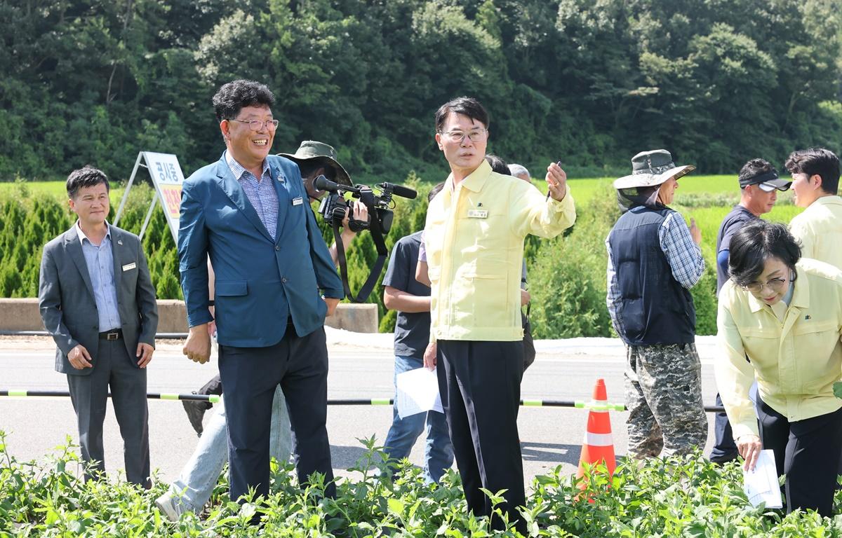 곤드레 유공부직포 피복 재배기술 시범사업 현장 평가회 첨부이미지 : 2025.8.25 곤드레 유공부직포 피복 재배기술 시범사업 현장 평가회 (9).JPG