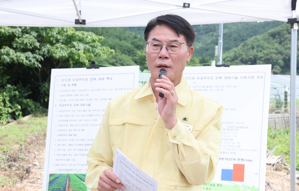 곤드레 유공부직포 피복 재배기술 시범사업 현장 평가회 첨부이미지 : 2025.8.25 곤드레 유공부직포 피복 재배기술 시범사업 현장 평가회 (4).JPG