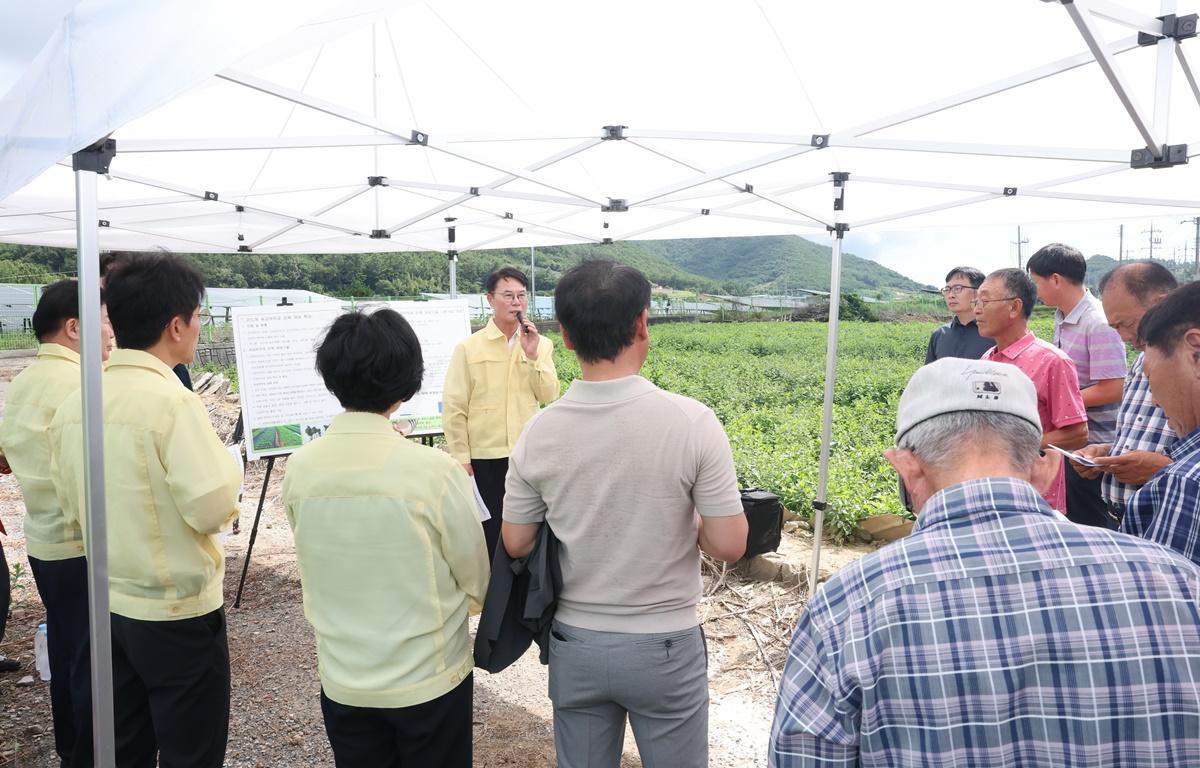 곤드레 유공부직포 피복 재배기술 시범사업 현장 평가회 첨부이미지 : 2025.8.25 곤드레 유공부직포 피복 재배기술 시범사업 현장 평가회 (6).JPG