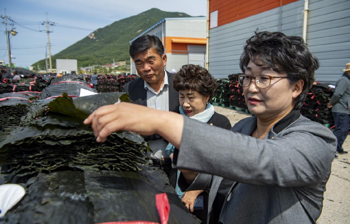 21년산 건 다시마 위판식 개장식 첨부이미지 : 2021.06.01 21년산 건 다시마 위판장 개장식_web (69).jpg