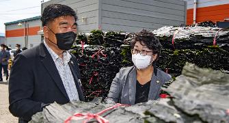 21년산 건 다시마 위판식 개장식