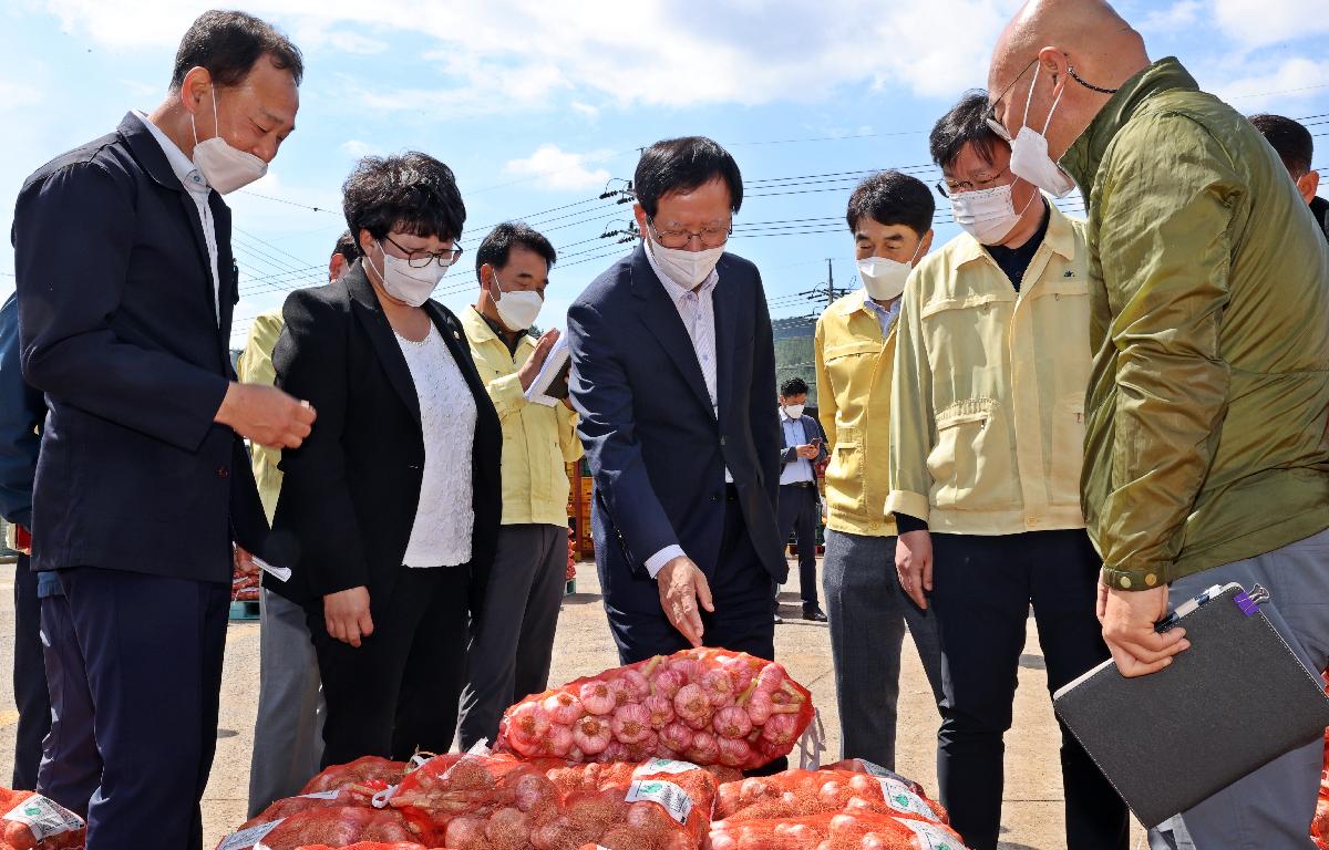 풍양 마늘 공판장 방문 첨부이미지 : 21-05-21 풍양 마늘 공판장 방문 12_1.jpg