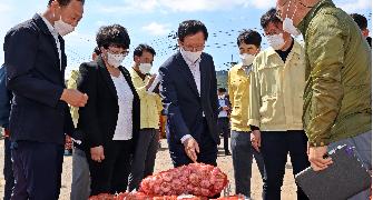 풍양 마늘 공판장 방문
