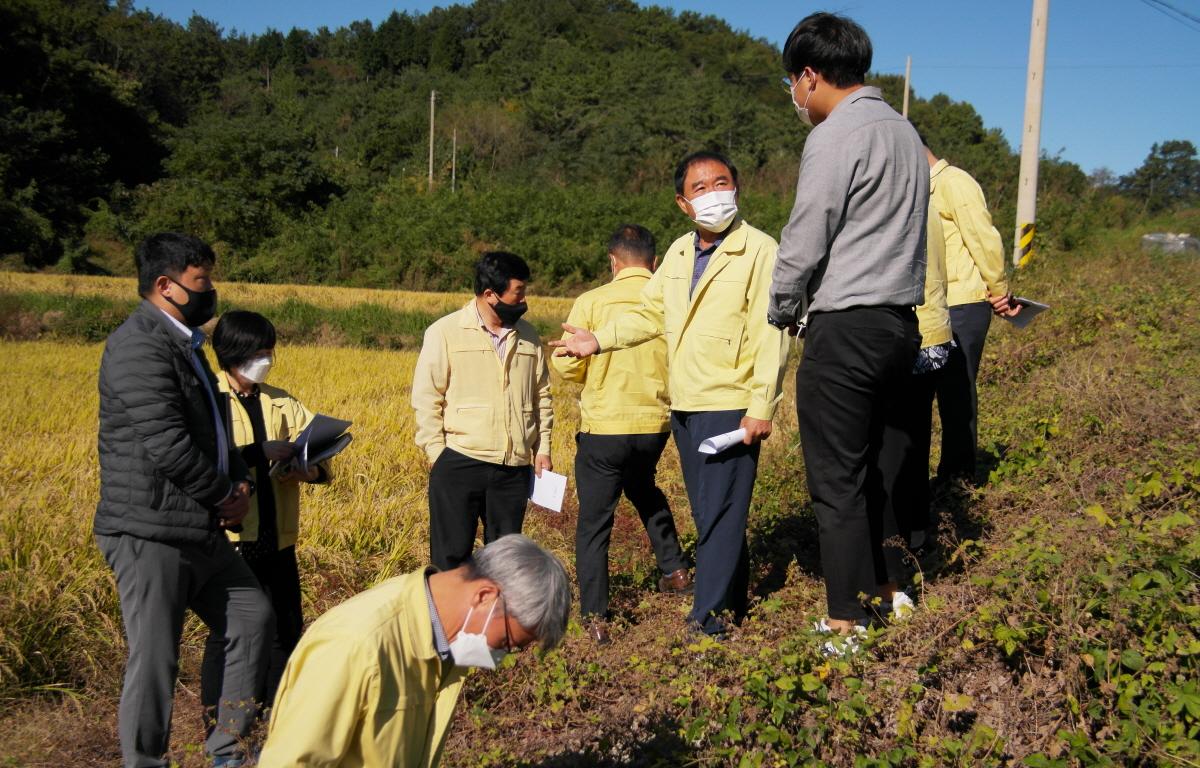 2020년도 하반기 군 발주사업 행정사무조사 1반 첨부이미지 : 2021.10.18 2020년도 하반기 군 발주사업 행정사무조사 1반 (8).JPG