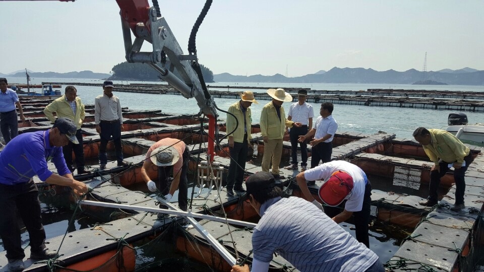 금산면 전복폐사에 따른 전복양식장 방문 첨부이미지 : 160822-전복 (9).jpeg