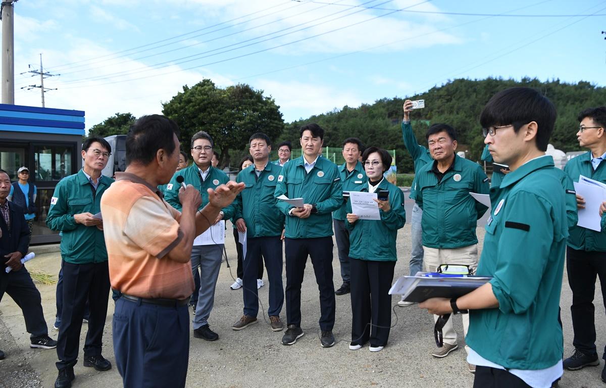 벼멸구 피해현장 점검 및 집중호우 현장 점검 첨부이미지 : 2024.9.23 벼멸구 피해현장 점검 및 집중호우 현장 점검 (3).JPG