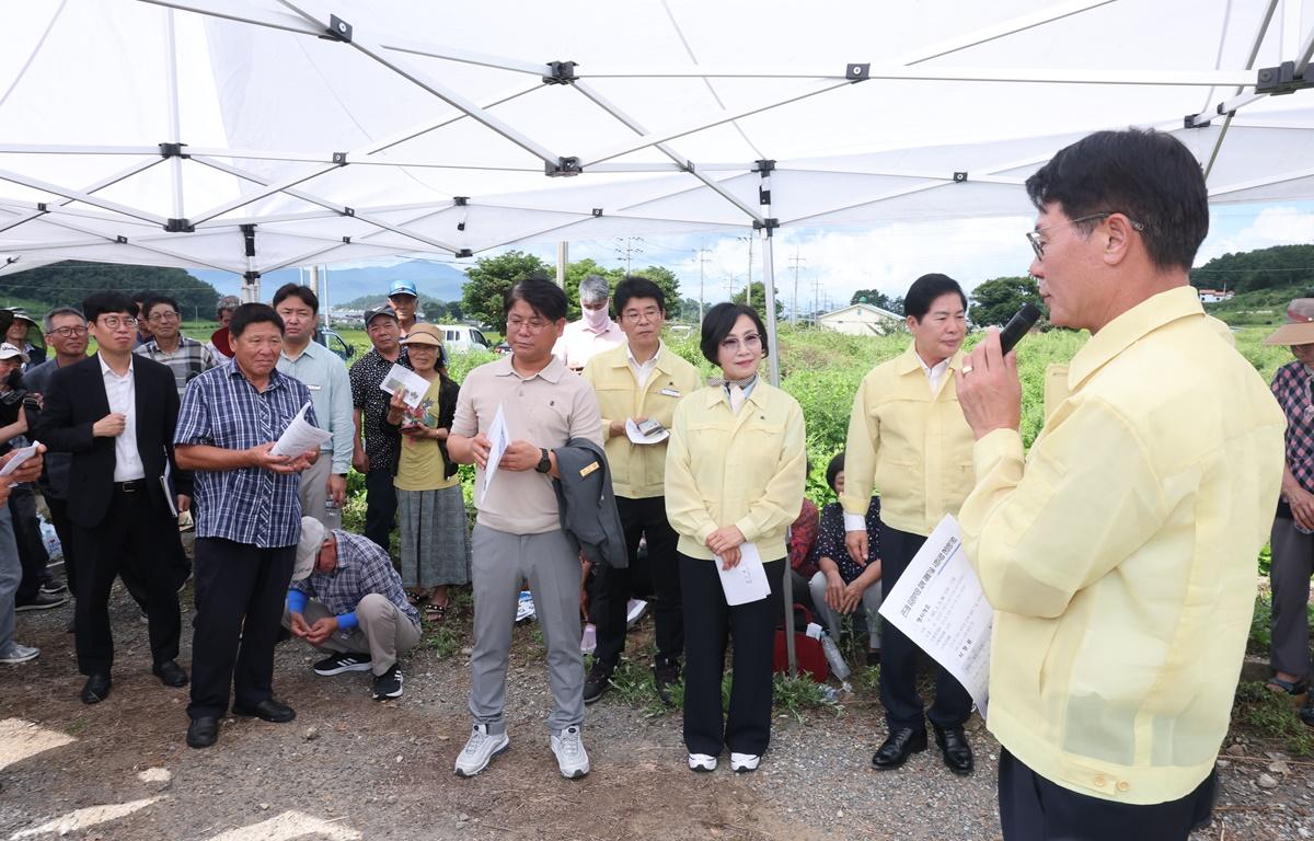 곤드레 유공부직포 피복 재배기술 시범사업 현장 평가회 첨부이미지 : 2025.8.25 곤드레 유공부직포 피복 재배기술 시범사업 현장 평가회 (3).JPG