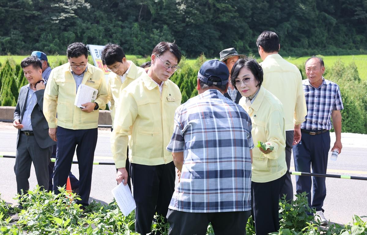 곤드레 유공부직포 피복 재배기술 시범사업 현장 평가회 첨부이미지 : 2025.8.25 곤드레 유공부직포 피복 재배기술 시범사업 현장 평가회 (8).JPG