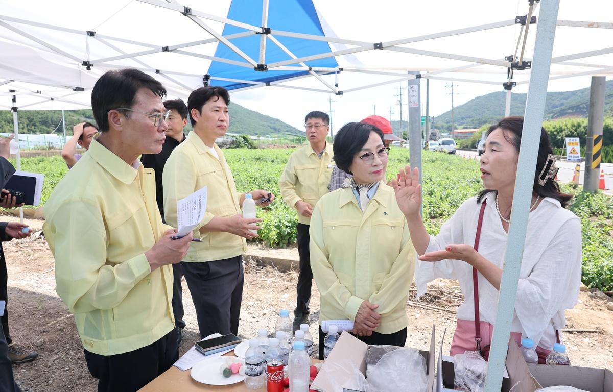 곤드레 유공부직포 피복 재배기술 시범사업 현장 평가회 첨부이미지 : 2025.8.25 곤드레 유공부직포 피복 재배기술 시범사업 현장 평가회 (11).JPG