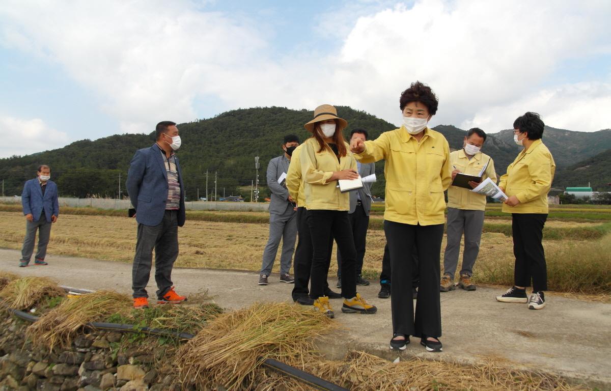 2020년도 하반기 군 발주사업 행정사무조사 첨부이미지 : 2021.10.14 2020년도 하반기 군 발주사업 행정사무조사 1반 (150).JPG