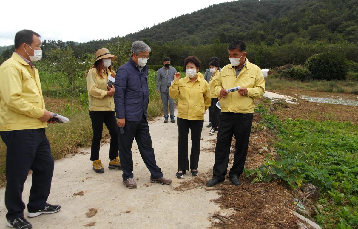 2020년도 하반기 군 발주사업 행정사무조사 첨부이미지 : 2021.10.14 2020년도 하반기 군 발주사업 행정사무조사 1반 (95).JPG