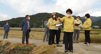 2020년도 하반기 군 발주사업 행정사무조사