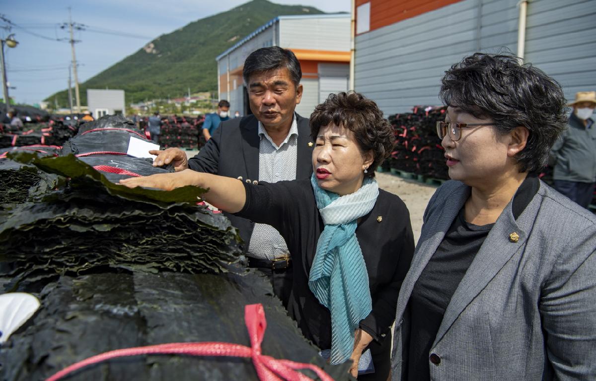 21년산 건 다시마 위판식 개장식 첨부이미지 : 2021.06.01 21년산 건 다시마 위판장 개장식_web (65).jpg