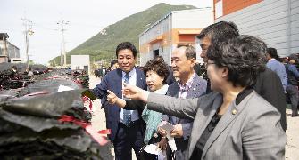 21년산 건 다시마 위판식 개장식