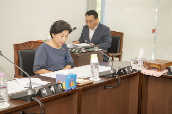 행정자치위원회 의안심사